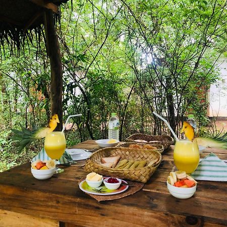Grand Freedom Bed & Breakfast Sigiriya Exterior photo